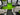 IIQ - Image