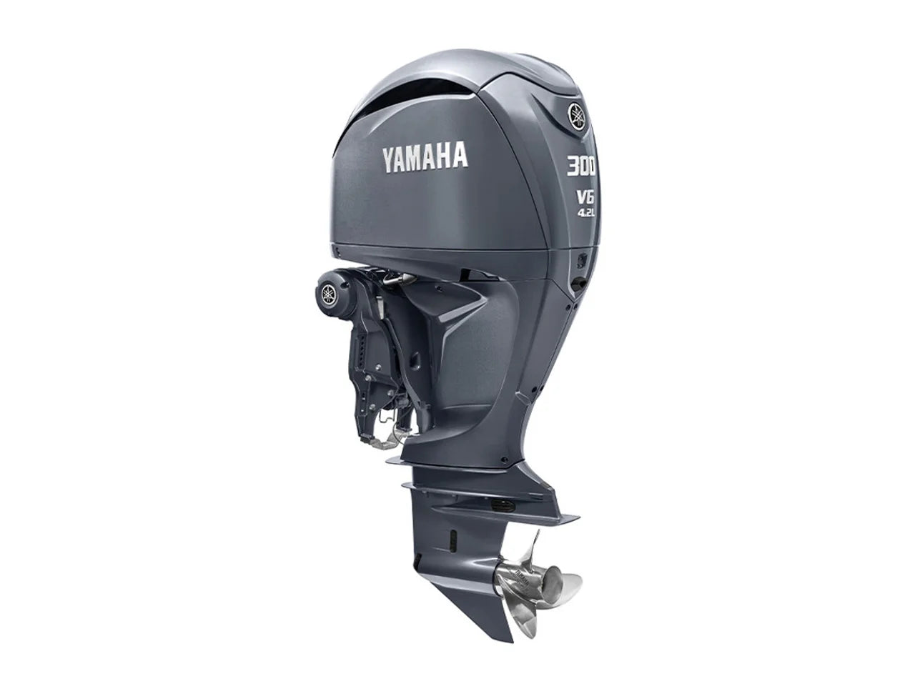2023 Yamaha F300USB feet, Coos Bay, OR #1