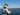 2027 SmokerCraft Phantom 20 X2 OS 22.667 feet, Coos Bay, OR #17
