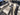 IIQ - Image