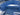 IIQ - Image