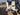 2024 Stabicraft 1850 SuperCab 18.333 feet, Coos Bay, OR #9