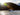 2026 North River 3200 EXL Endurance 32.0 feet, Coos Bay, OR #24