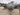 2015 Rogue Marine 17' Scrambler 17.0 feet, Coos Bay, OR #3