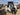 2024 Stabicraft 1850 SuperCab 18.333 feet, Coos Bay, OR #7