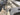 2012 Stabicraft 1850 Fisher 18.0 feet, Coos Bay, OR #9