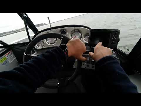 IIQ - Video