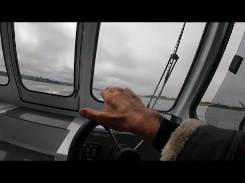 IIQ - Video
