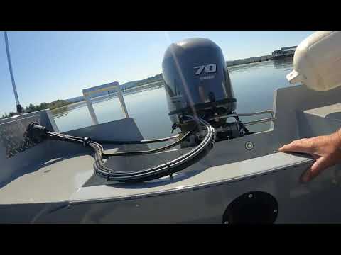 IIQ - Video