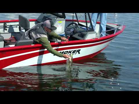 2026 Smoker Craft 162 Pro Tracer 16.5 feet Walk-Through - Features & Buyer's Guide, Coos Bay, OR #1