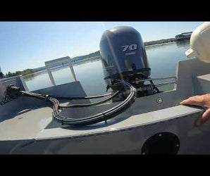 IIQ - Video